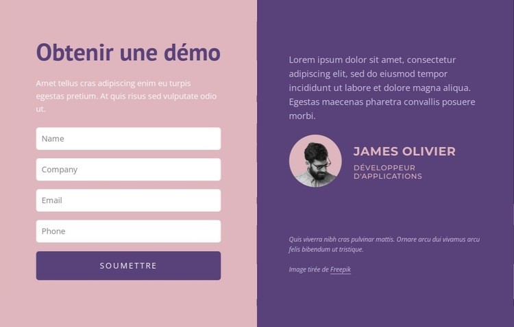 Formulaire de contact avec texte Conception de site Web