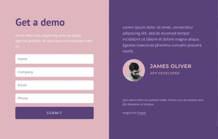 Contact form with text HTML Template