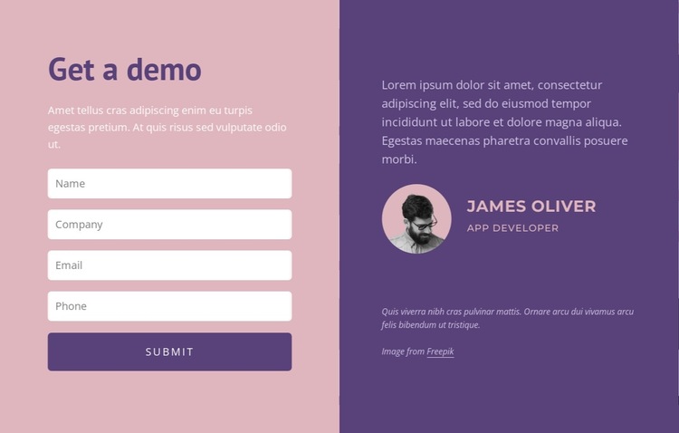 Contact form with text HTML5 Template