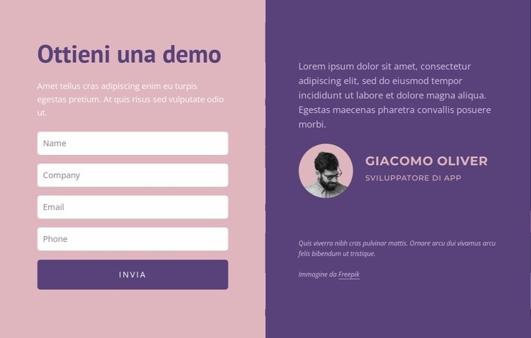 Modulo di contatto con testo Mockup del sito web