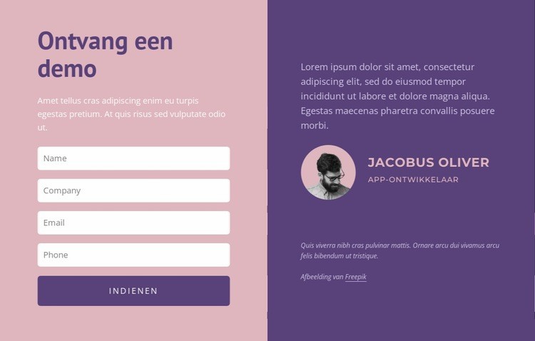 Contactformulier met tekst Website mockup