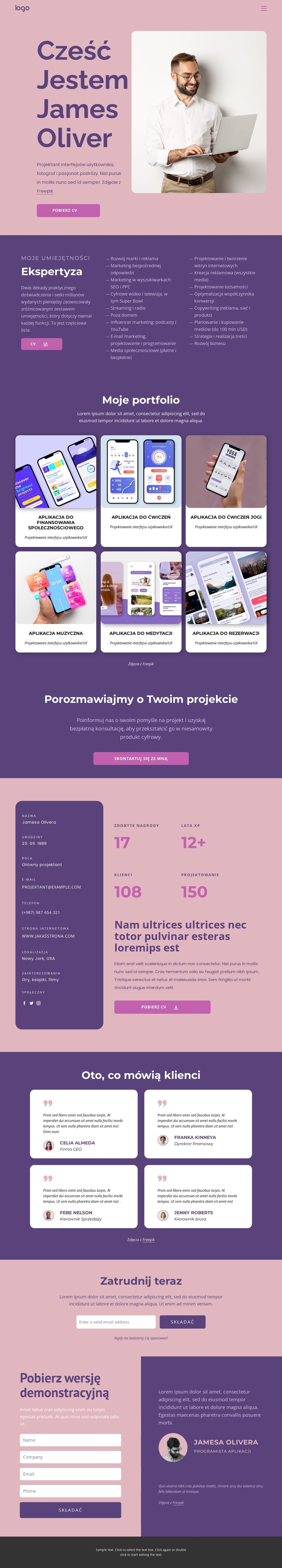 Profesjonalny programista aplikacji Szablon CSS