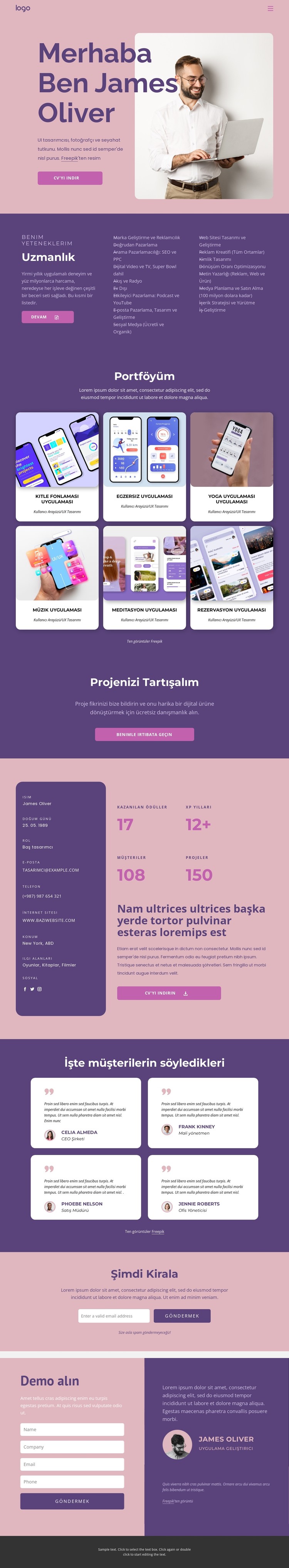 Profesyonel uygulama geliştiricisi CSS Şablonu