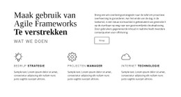 Waarom Zou U Voor Ons Kiezen? Responsieve Site