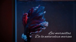 Tour Submarino: Plantilla HTML5 Creativa Multipropósito