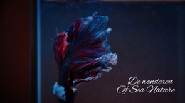 Websiteontwerp Voor Onderzeese Tour