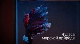 Подводный Тур – Простой Одностраничный Шаблон