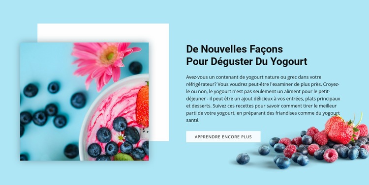 Comment déguster du yaourt Maquette de site Web