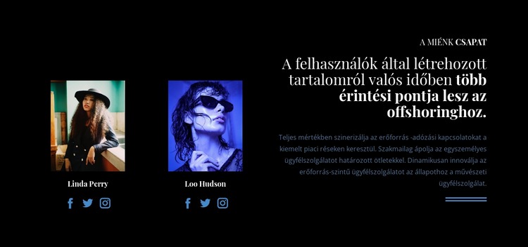 Csapatunk szociális területen WordPress Téma