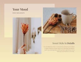 Sweet Style In Details Html Code Example