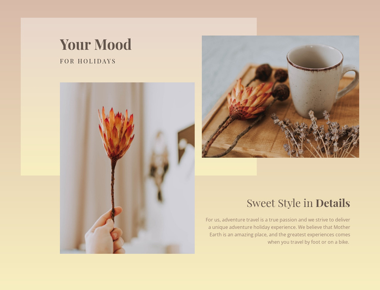 Sweet style in details One Page Template