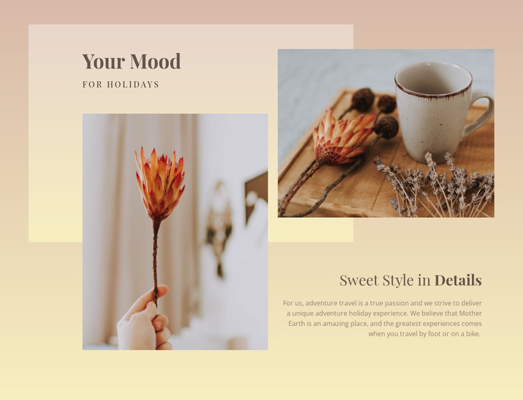 Sweet style in details WordPress Website Builder