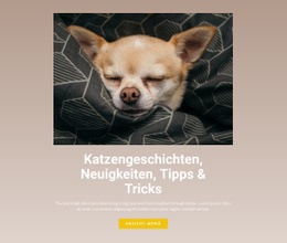 Haustiergeschichten - Benutzerdefiniertes Website-Design