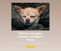 Historias De Mascotas: Creador De Sitios Web Fácil De Usar