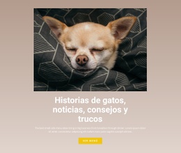 Historias De Mascotas Plantilla Responsiva Html5