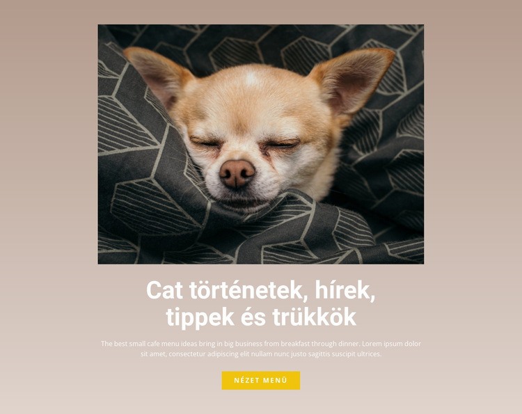 Kisállat történetek Weboldal tervezés