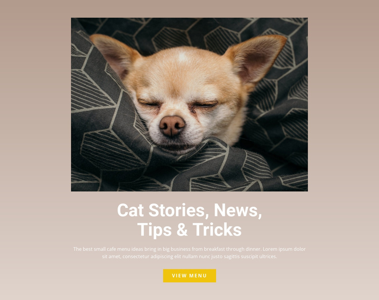 Pet stories One Page Template
