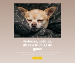 Histórias De Animais De Estimação - Design Do Site