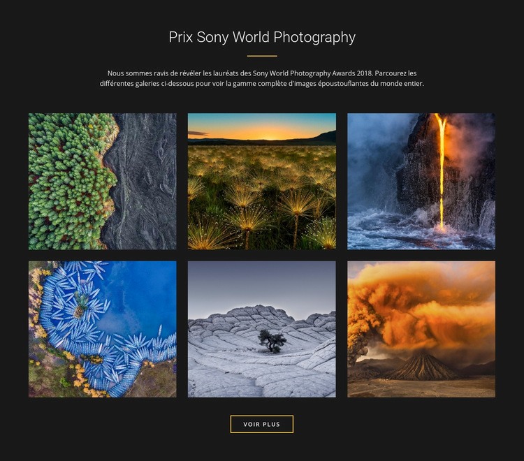 Prix mondiaux de la photographie Modèles de constructeur de sites Web