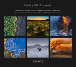 Prix Mondiaux De La Photographie - Glisser-Déposer Un Modèle De Page