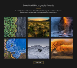 World Photography Awards Website Editor Free