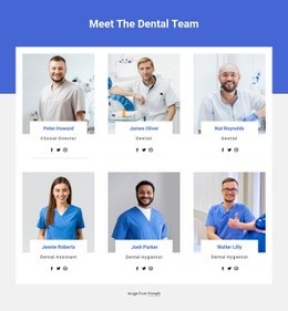 Dental Team Members