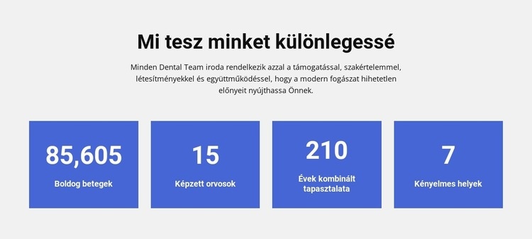 Mi tesz minket különlegessé HTML Sablon