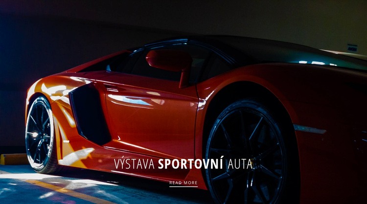 Výstava sportovních vozů Webový design