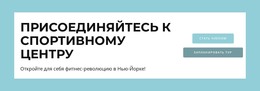Текст И Кнопка