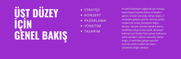 Üst Düzey Genel Bakış Için - Web Sitesi Oluşturucu Şablonu