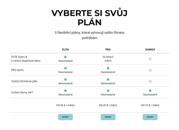 Využijte všech výhod sportovního klubu Šablona HTML