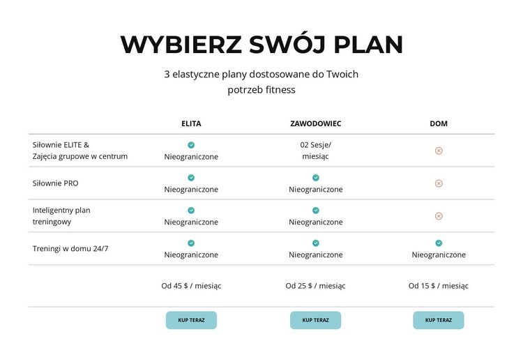 Ciesz się wszystkimi zaletami klubu sportowego Szablon jednej strony