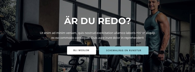 Rubrik och två knappar WordPress -tema