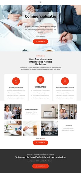 Commercialisation Du Développement - Modèle De Page HTML
