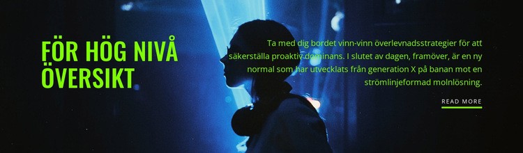 Arbete på hög nivå WordPress -tema