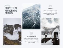 Podívejte Se Hluboko Do Přírody – Šablony Webových Stránek