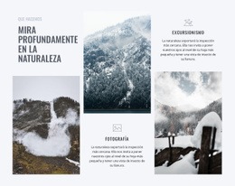Mira Profundamente En La Naturaleza - Diseño Responsivo