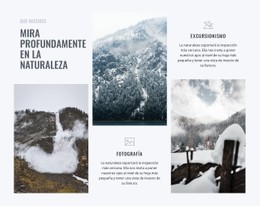 Mira Profundamente En La Naturaleza Plantilla CSS Premium