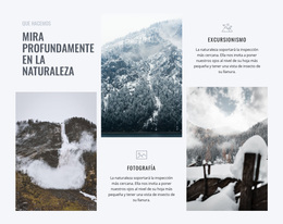 Mira Profundamente En La Naturaleza - Tema Gratuito De WordPress