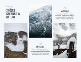 Spójrz Głęboko W Naturę - Responsywny Projekt