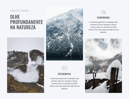 Olhe Profundamente Na Natureza - Tema WordPress Gratuito