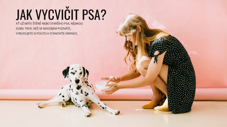 Jak vycvičit psa Šablona CSS