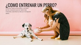 Como Entrenar Un Perro - Creador De Sitios Web Sencillo