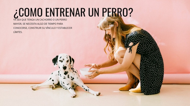 Como entrenar un perro Maqueta de sitio web