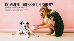 Comment Dresser Un Chien