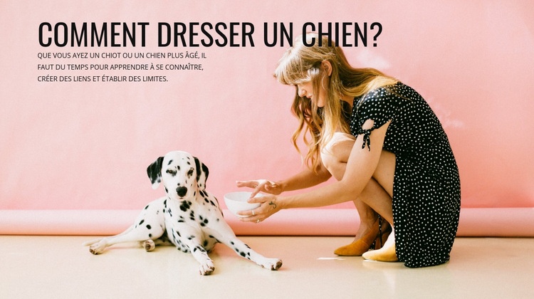 Comment dresser un chien Maquette de site Web