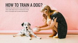 How To Train A Dog - Custom HTML5 Template