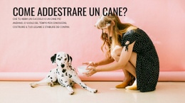Come Addestrare Un Cane - Design Professionale Personalizzabile