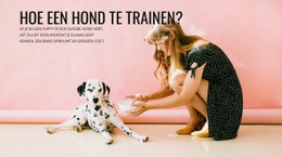 Hoe Een Hond Te Trainen - Functionaliteitsbestemmingspagina