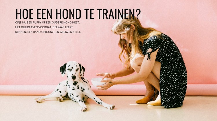 Hoe een hond te trainen Html Website Builder